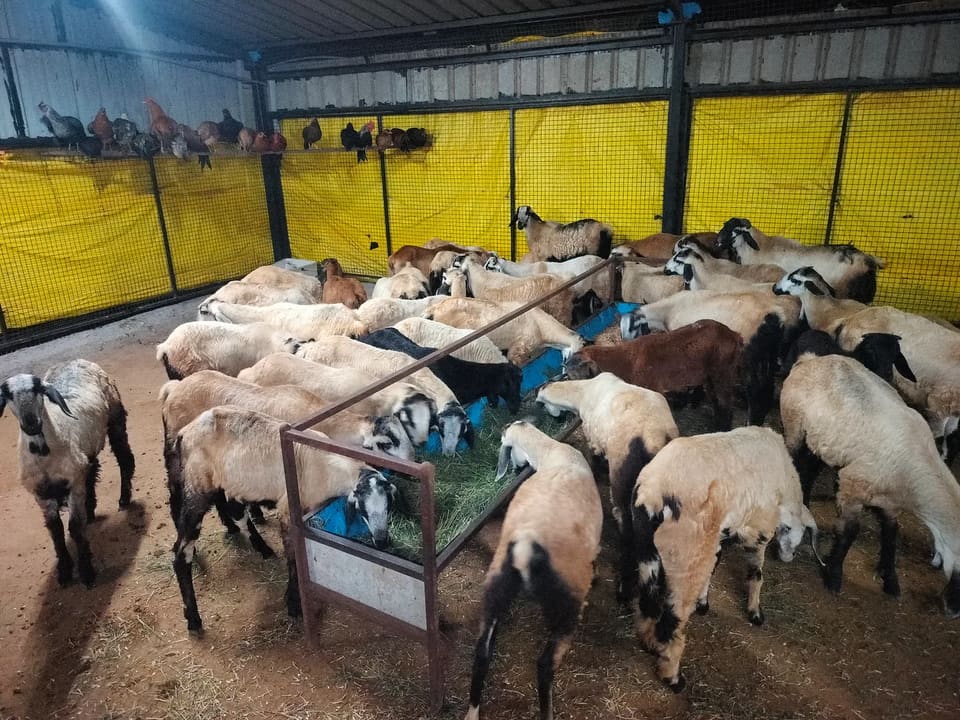 in TELANGANA