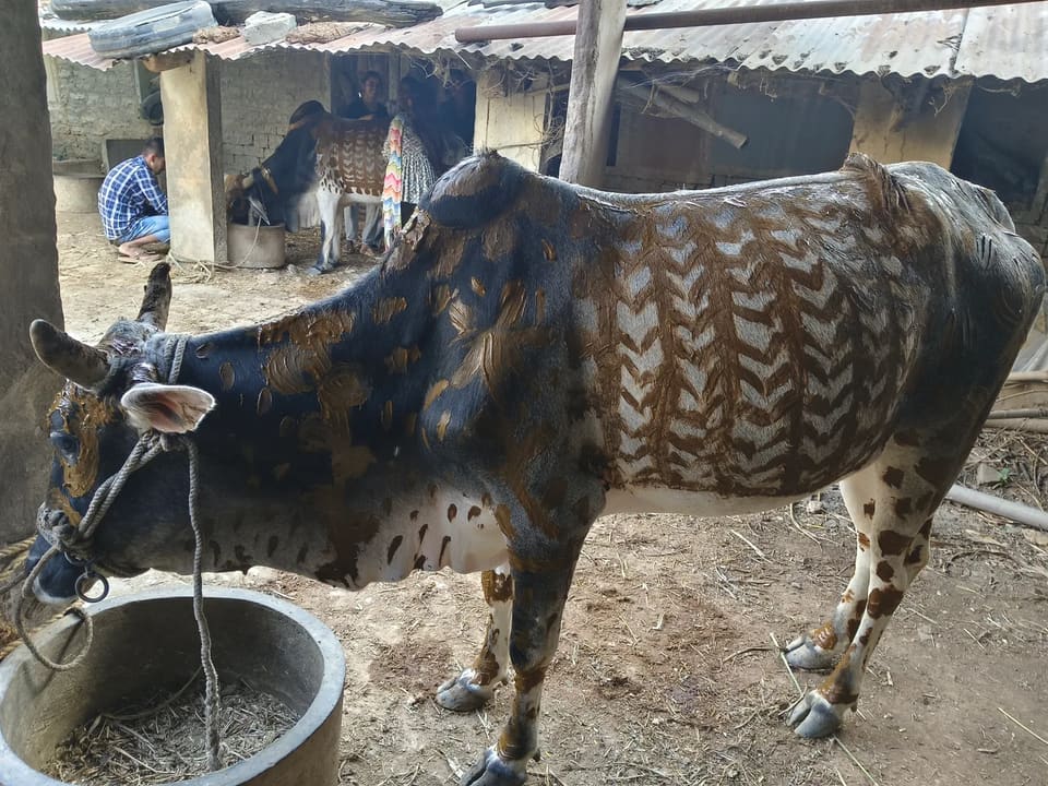 Others Others in  RAJASTHAN