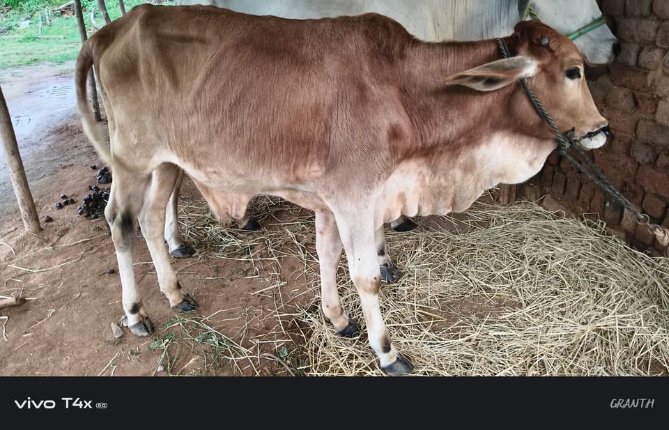 Others Others in  MADHYA PRADESH