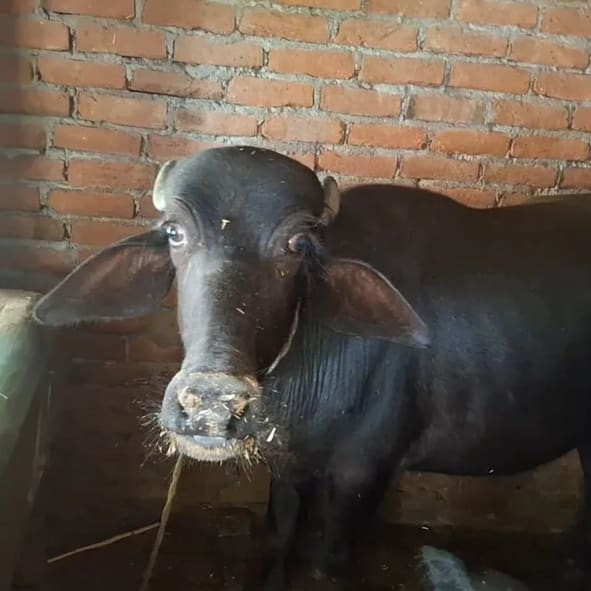Others Others in  UTTAR PRADESH