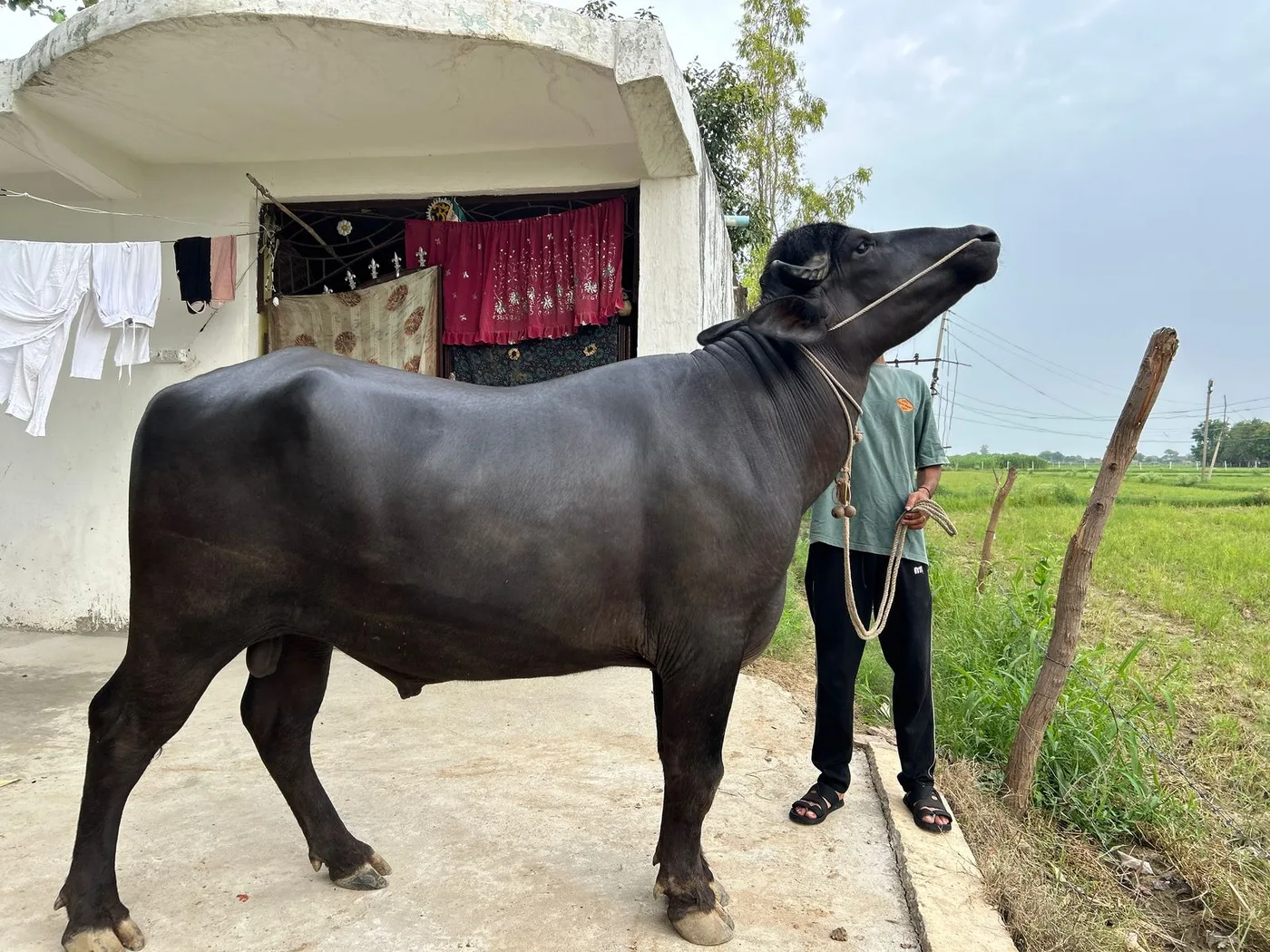 Others Others in  MADHYA PRADESH