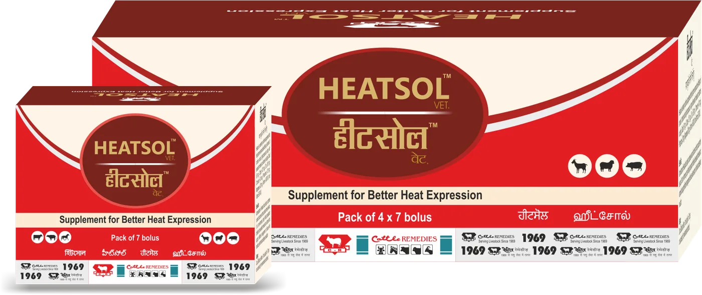HEATSOL™  - Upchar