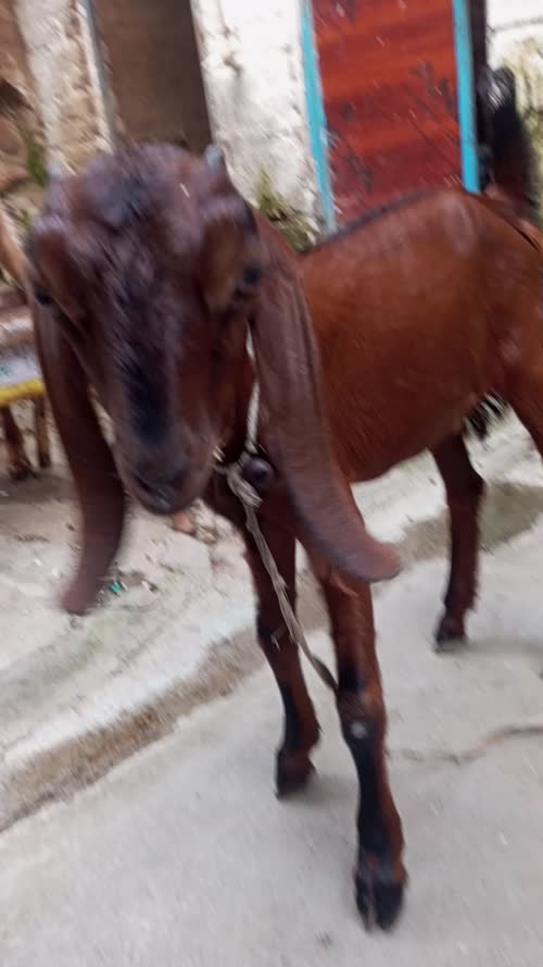 in UTTAR PRADESH