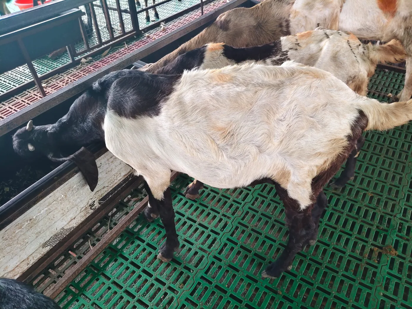 Others Others in  KARNATAKA