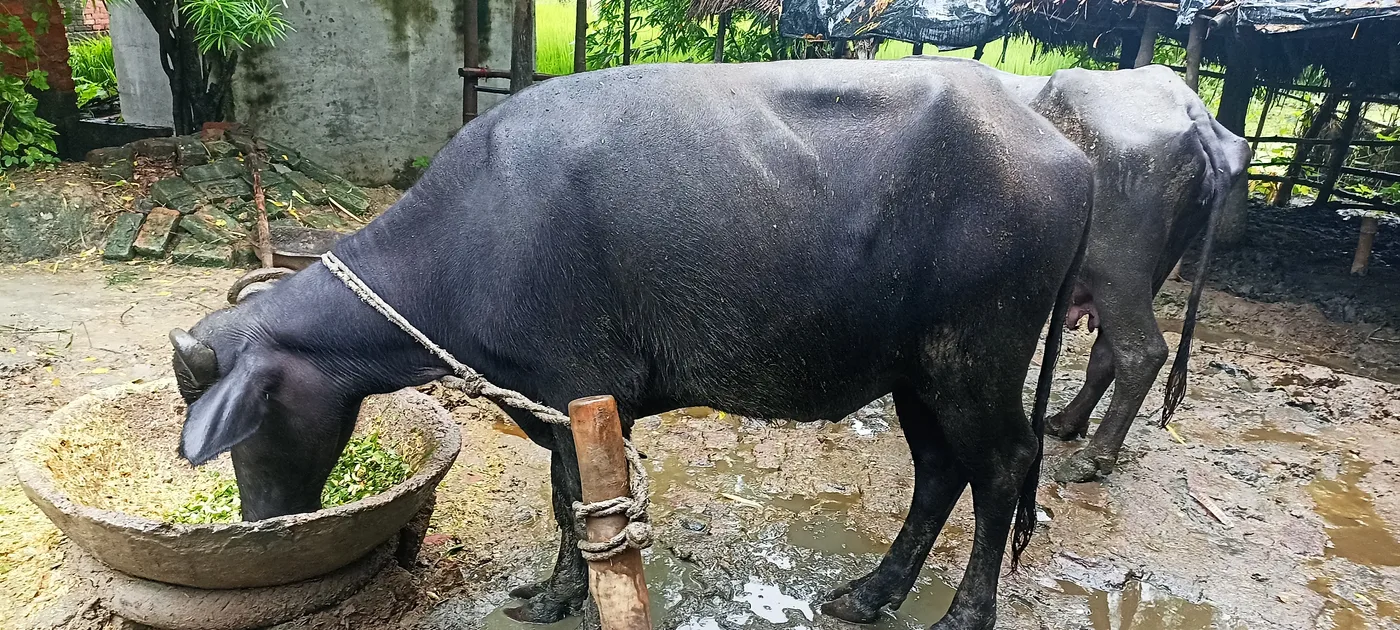 Others Others in  UTTAR PRADESH