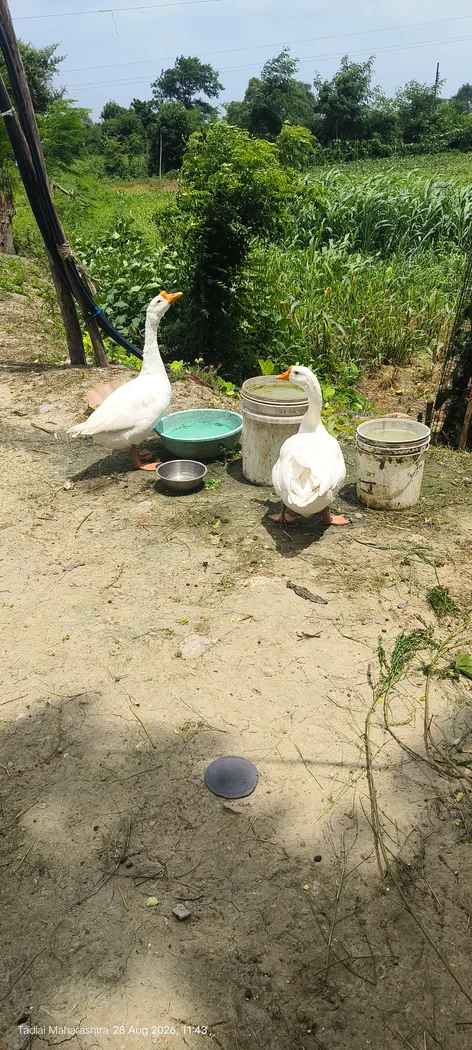 Others Others in  MAHARASHTRA