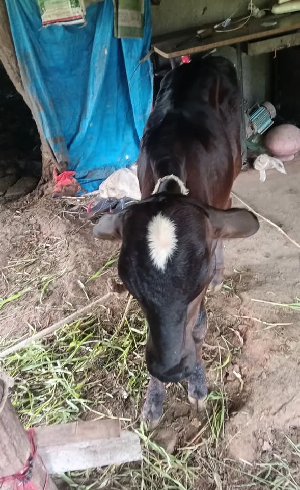 Others Others in  GUJARAT