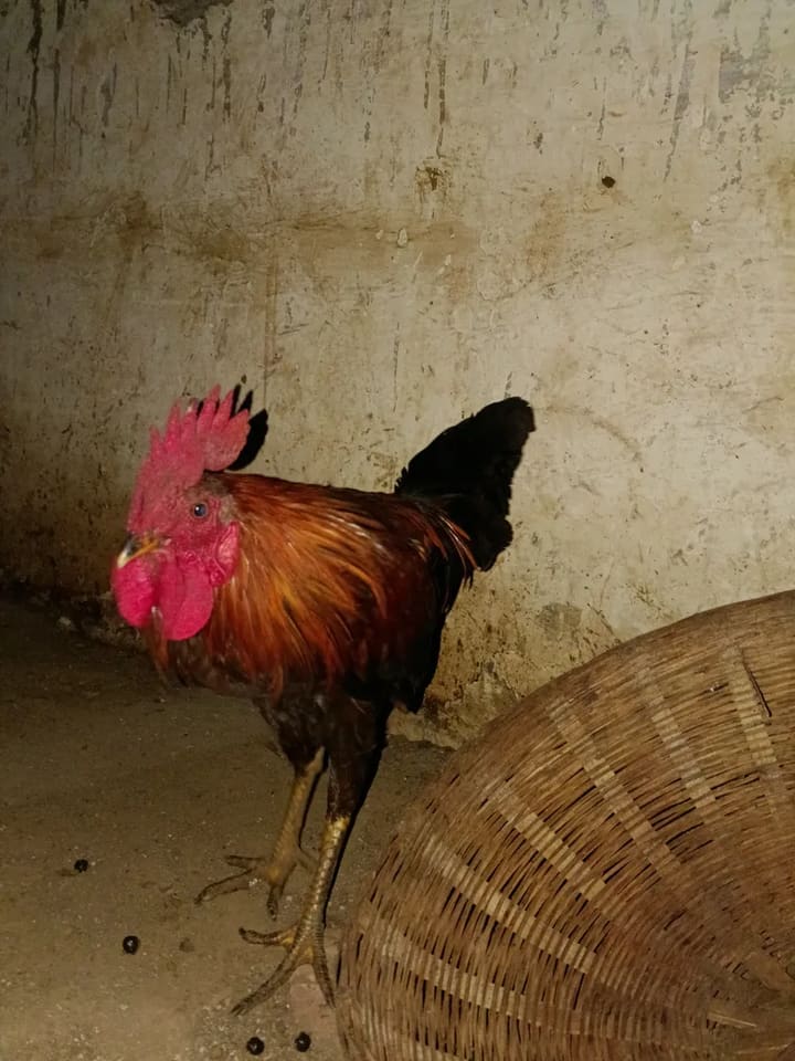 Others Others in  MADHYA PRADESH
