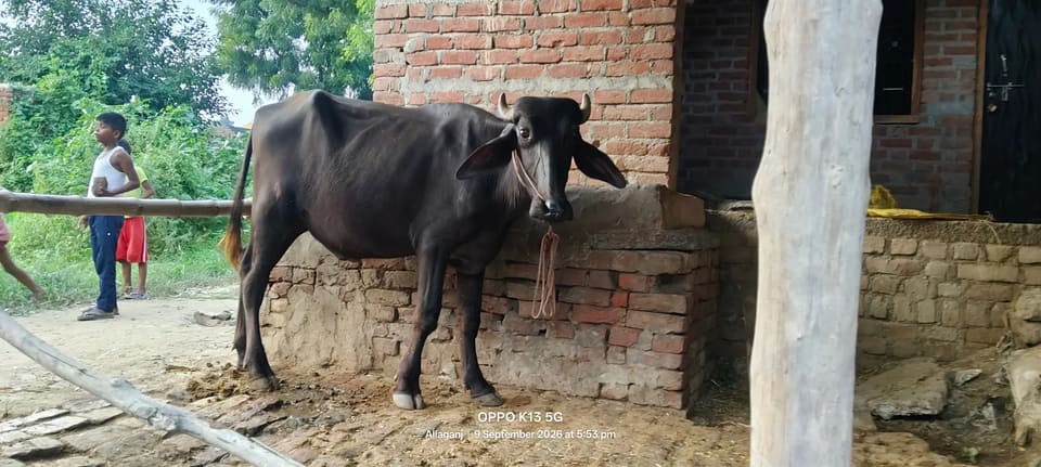 Others Others in  UTTAR PRADESH