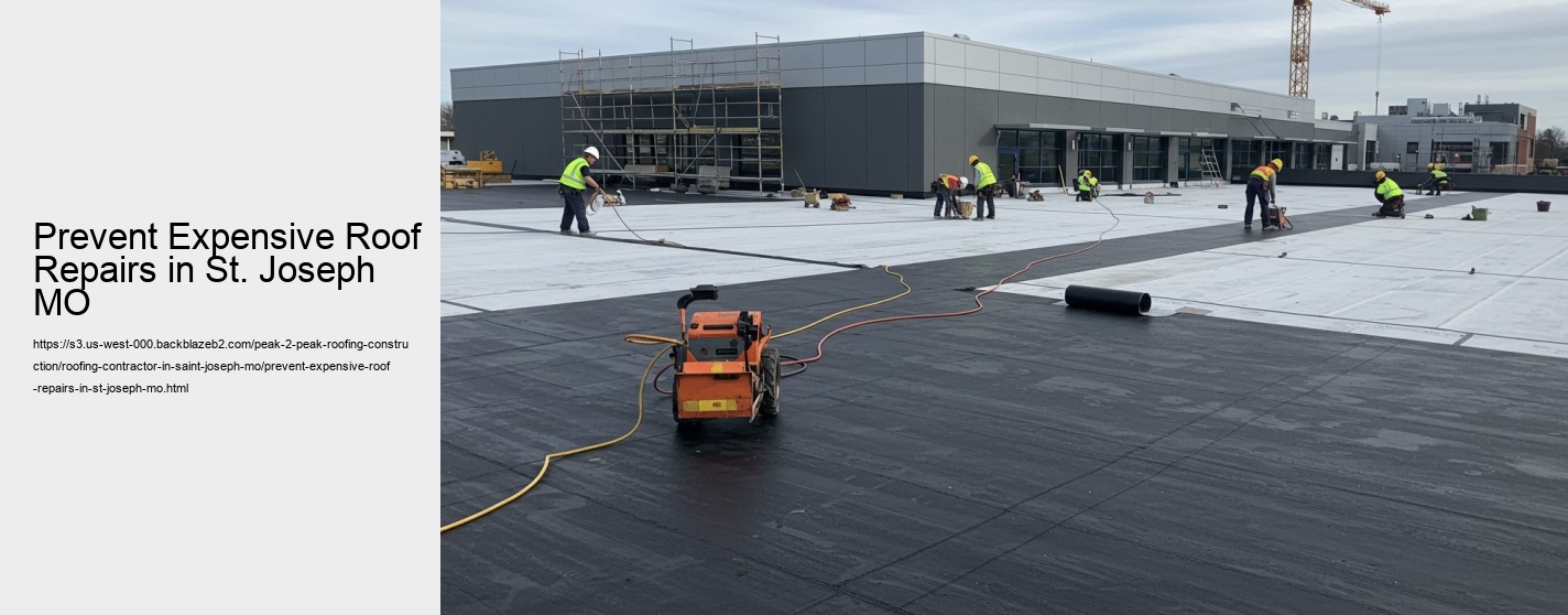 Prevent Expensive Roof Repairs in St. Joseph MO