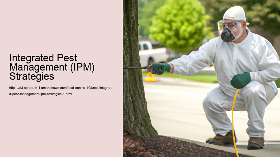 Integrated Pest Management (IPM) Strategies  