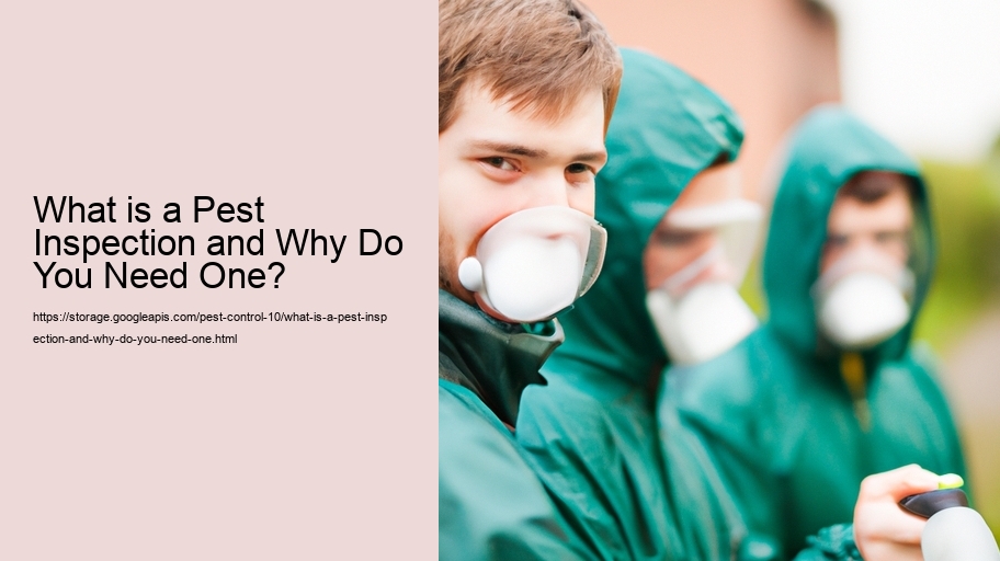 What is a Pest Inspection and Why Do You Need One?