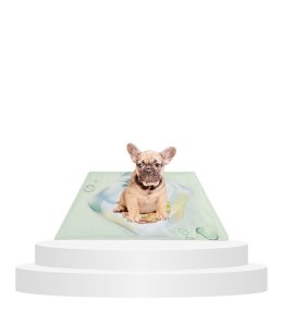 FOFOS pineapple cooling mat 50x40cm