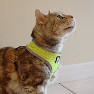 TRUELOVE Cat & Small Dog Harness Pink