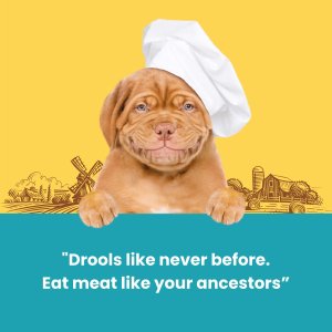 Dogfest Duck fillets