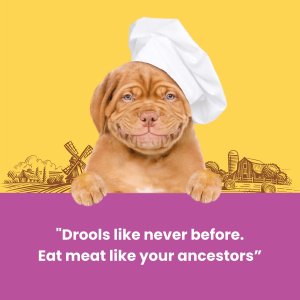 Dogfest Chicken fillet bars