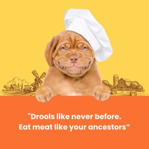 Dogfest Turkey slices