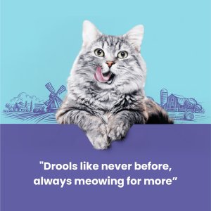 Catfest Pillows with salmon cream