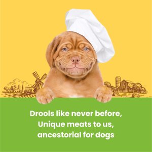 Dogfest Training treats Turkey & Flax seeds