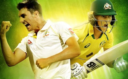 Cricket 24 Review: A New Innings for the Cricket Series