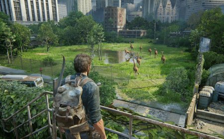 The Last of Us Gameplay – Survive, Explore, and Uncover the Story