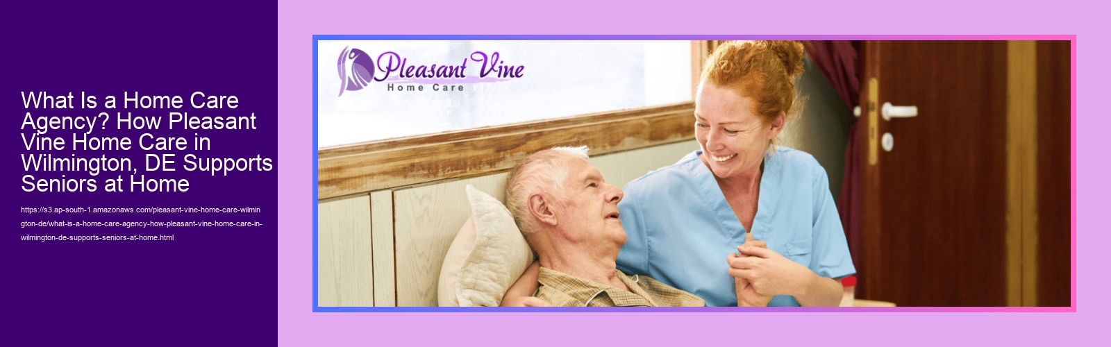 What Is a Home Care Agency? How Pleasant Vine Home Care in Wilmington, DE Supports Seniors at Home