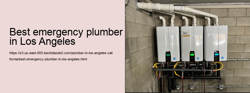 best emergency plumber in Los Angeles