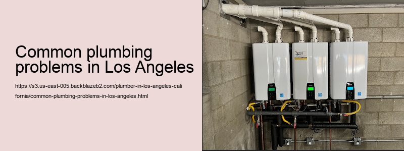 common plumbing problems in Los Angeles