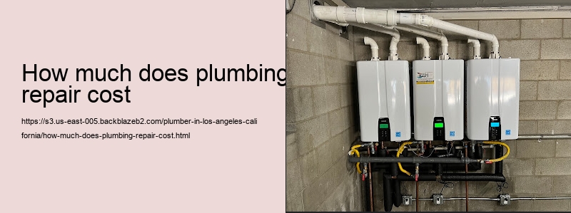 how much does plumbing repair cost