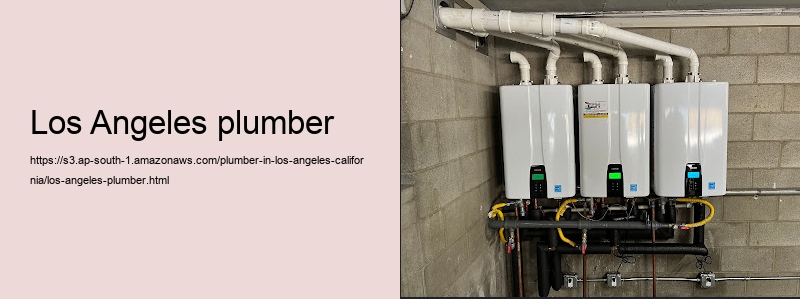Los Angeles plumber