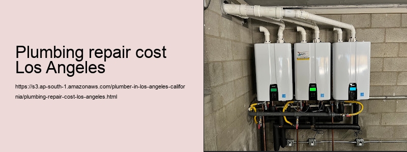 plumbing repair cost Los Angeles