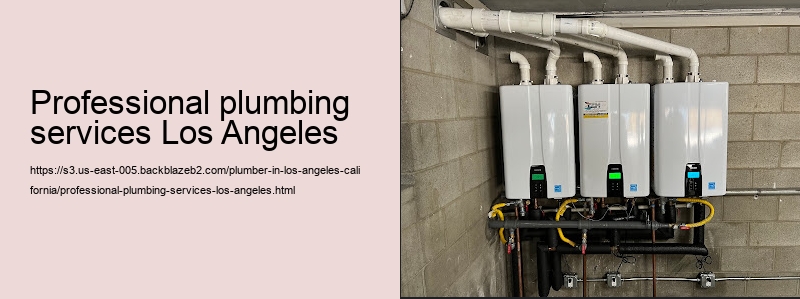 professional plumbing services Los Angeles