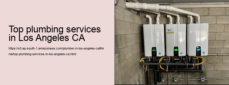 top plumbing services in Los Angeles CA