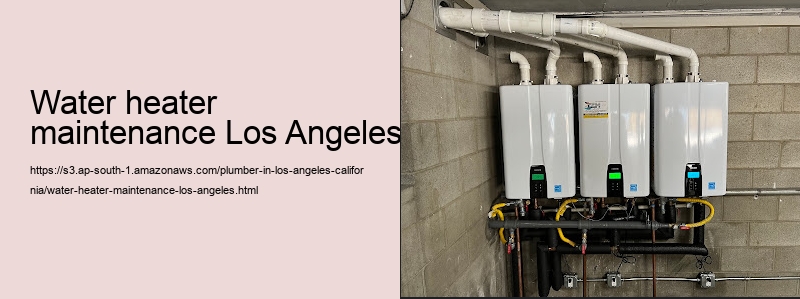 water heater maintenance Los Angeles