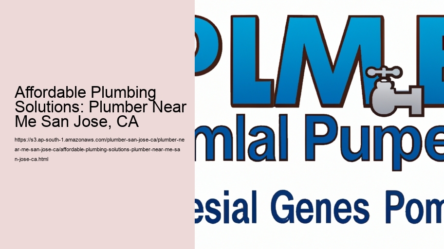 Affordable Plumbing Solutions: Plumber Near Me San Jose, CA