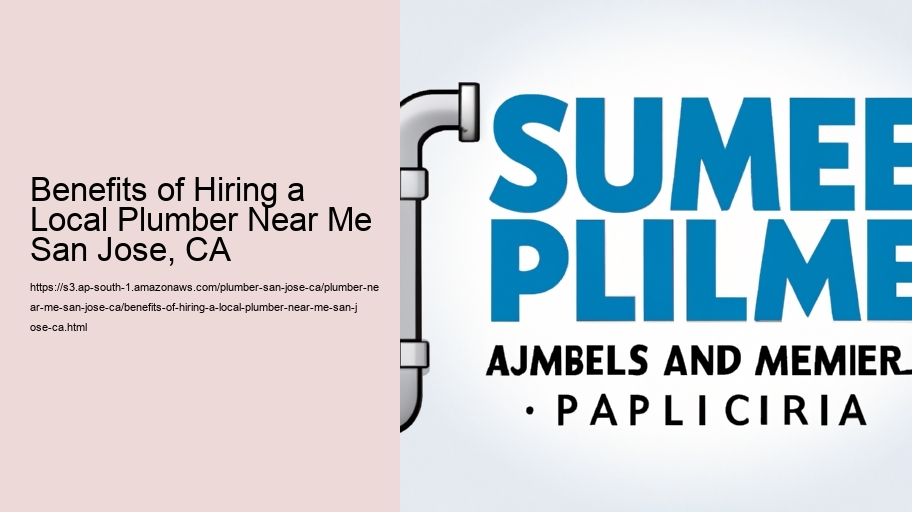 Benefits of Hiring a Local Plumber Near Me San Jose, CA