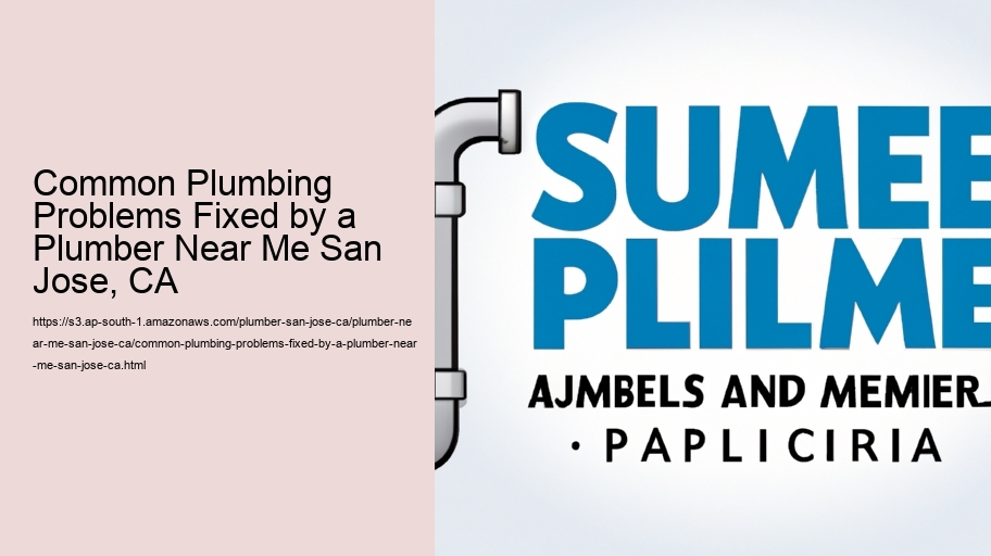 Common Plumbing Problems Fixed by a Plumber Near Me San Jose, CA