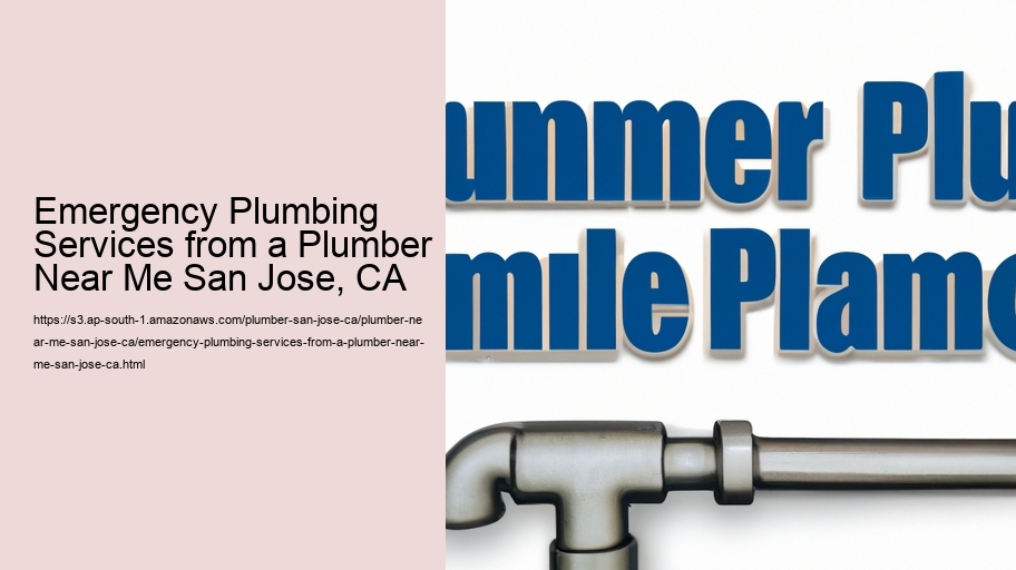 Emergency Plumbing Services from a Plumber Near Me San Jose, CA