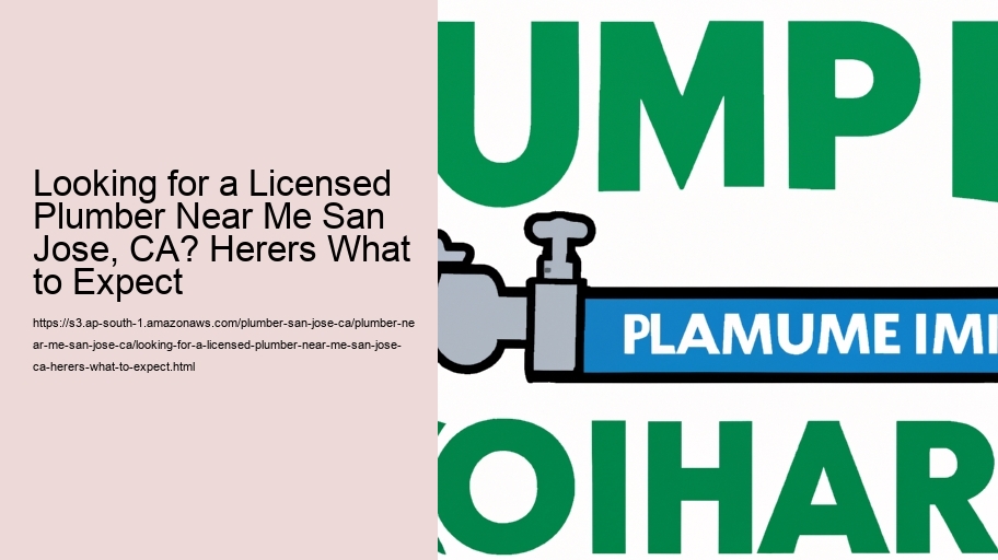 Looking for a Licensed Plumber Near Me San Jose, CA? Herers What to Expect