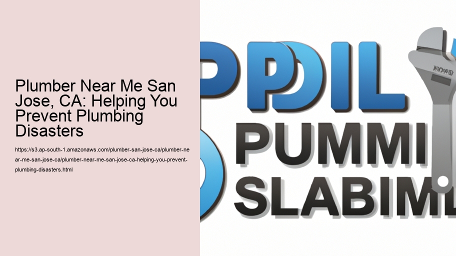 Plumber Near Me San Jose, CA: Helping You Prevent Plumbing Disasters