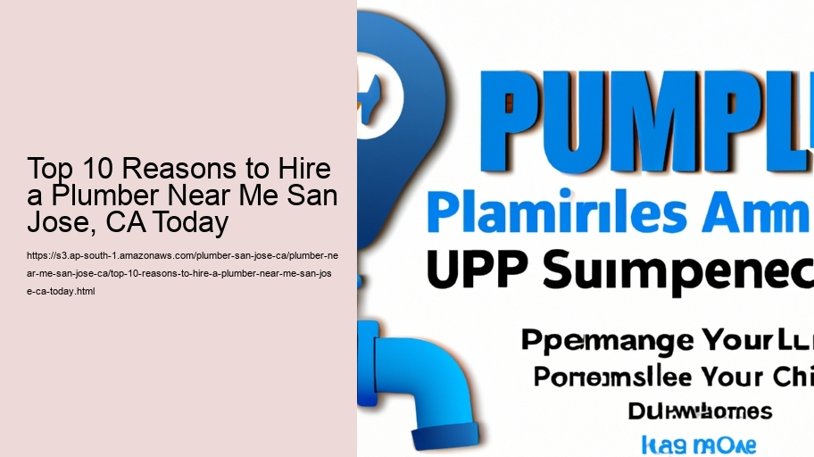 Top 10 Reasons to Hire a Plumber Near Me San Jose, CA Today