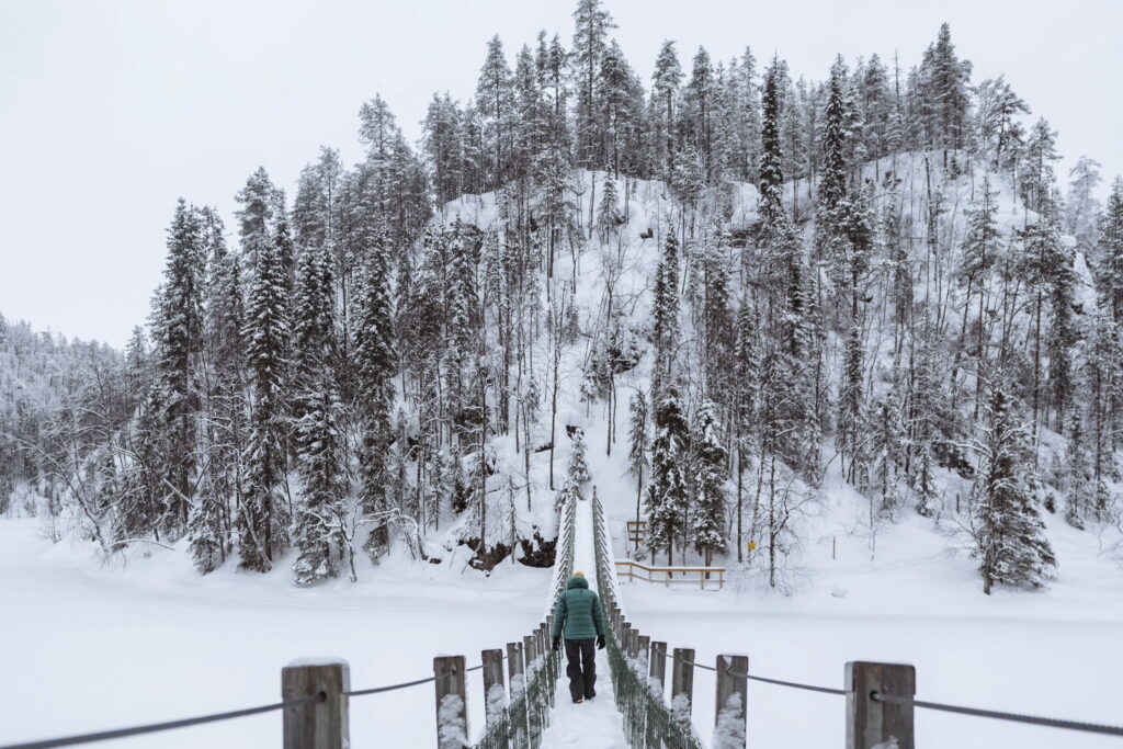 Finland Tour Packages from Dubai: Discover Winter Magic with TravTips