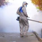 Emergency Pest Control in Rockhampton: When to Call the Pros