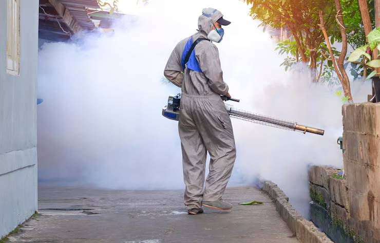Emergency Pest Control in Rockhampton: When to Call the Pros