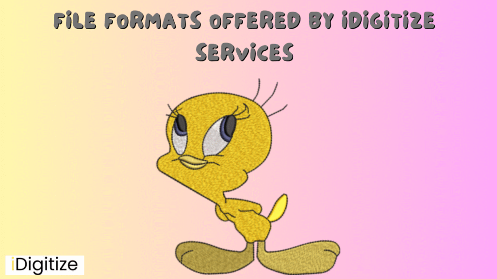 File Formats Offered by iDigitize Services