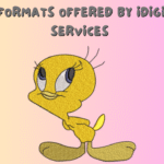 File Formats Offered by iDigitize Services