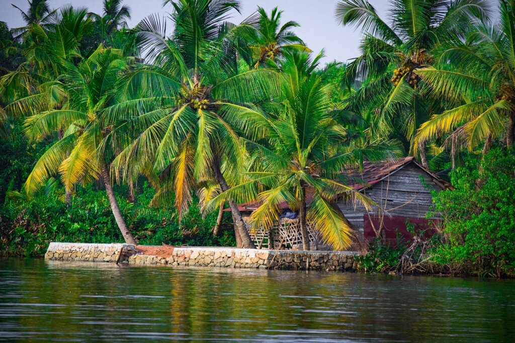 Kerala Backwater Tour Packages for Peaceful Nature Escapes