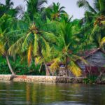 Kerala Backwater Tour Packages for Peaceful Nature Escapes