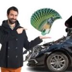 Turn Your Unwanted Car into Cash Today in Ipswich