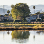 Exploring San Mateo: A Balanced Review of a Vibrant Californian City